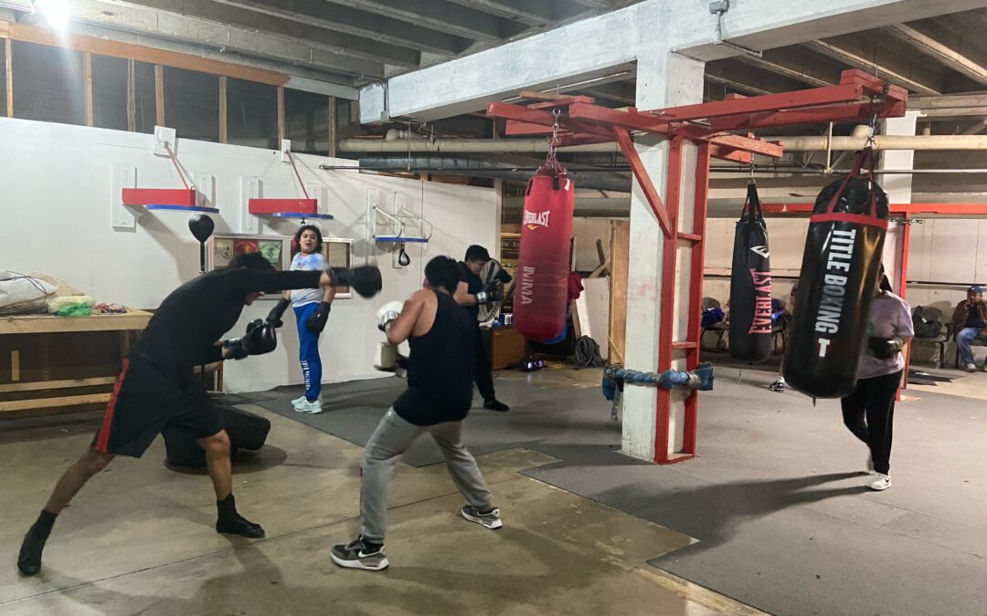 St. Gall Boxing