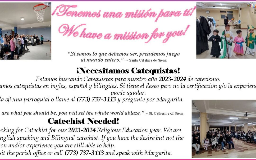 Catechist Needed