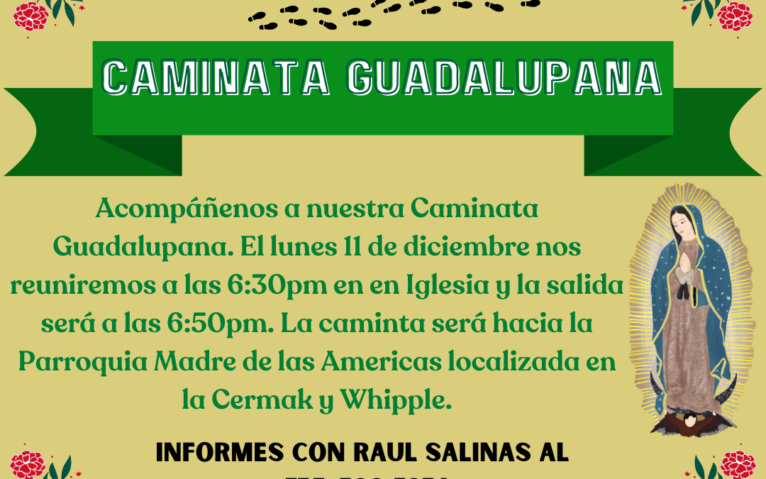 Caminata Guadalupana