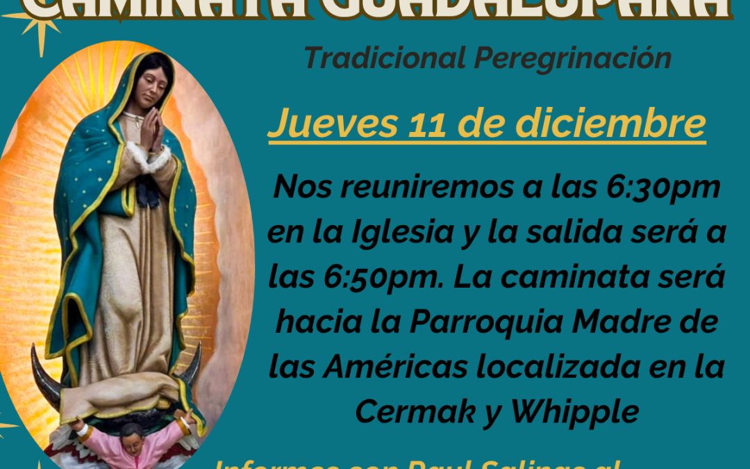 Carrera & Caminata Guadalupana