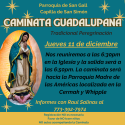 Carrera & Caminata Guadalupana